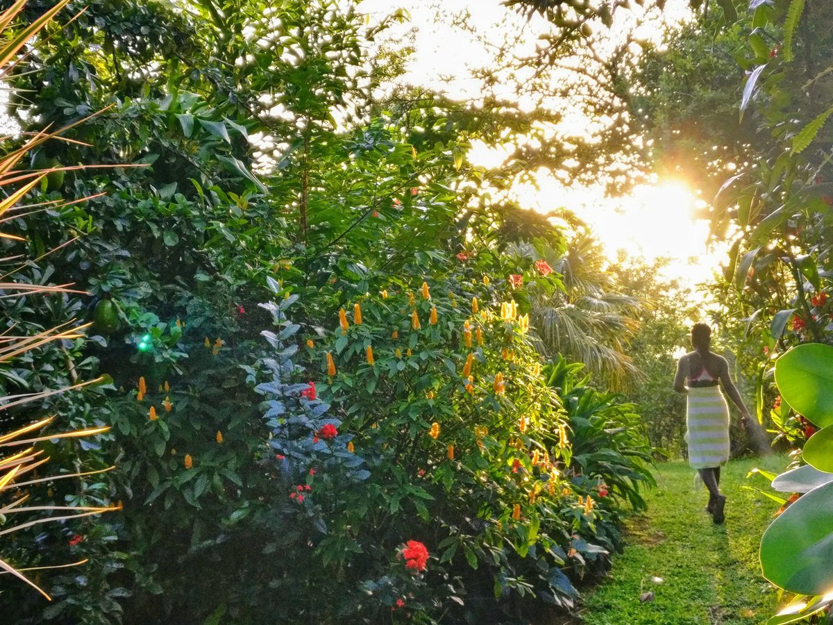 20200504133310 20200427141121 img 20190720 170731 1200px