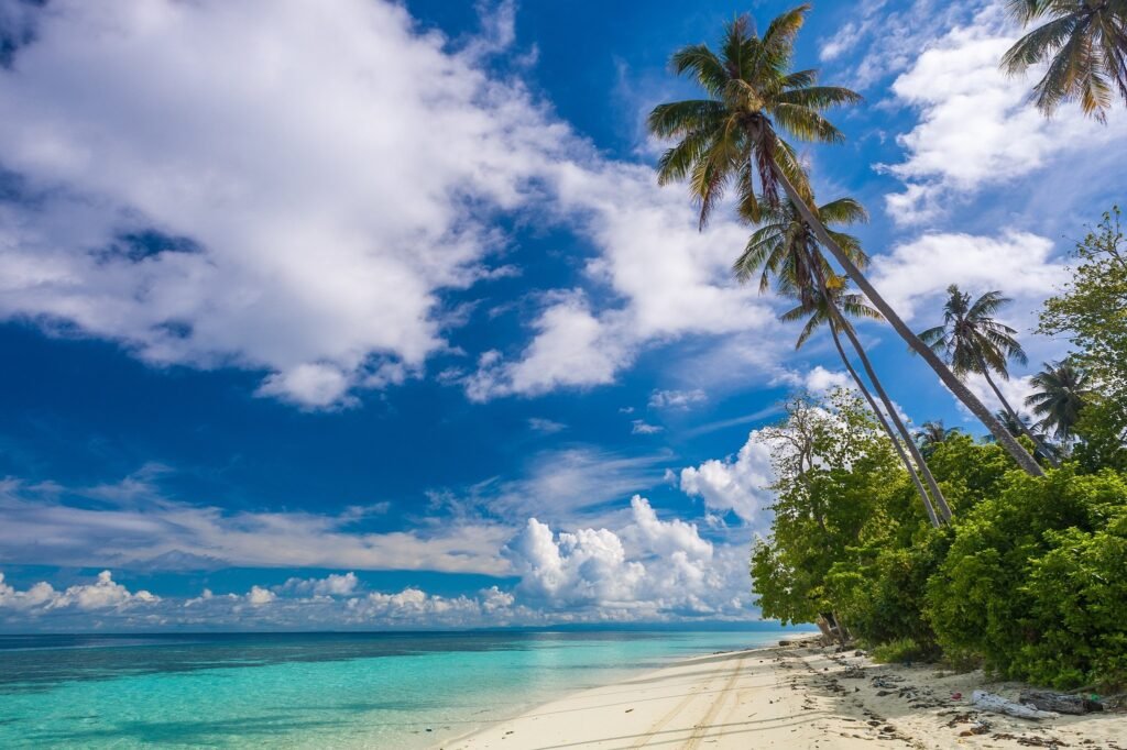 972697 beach shrubs palm trees island paradise clouds tropical beautiful white sand summer travel malaysia ocean