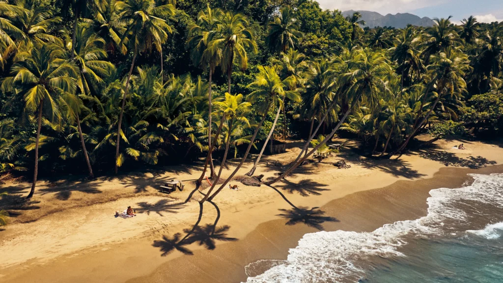 DOMINICA 31 CNT SEPTEMBER OCTOBER 24 OLIVER PILCHER GLOBAL