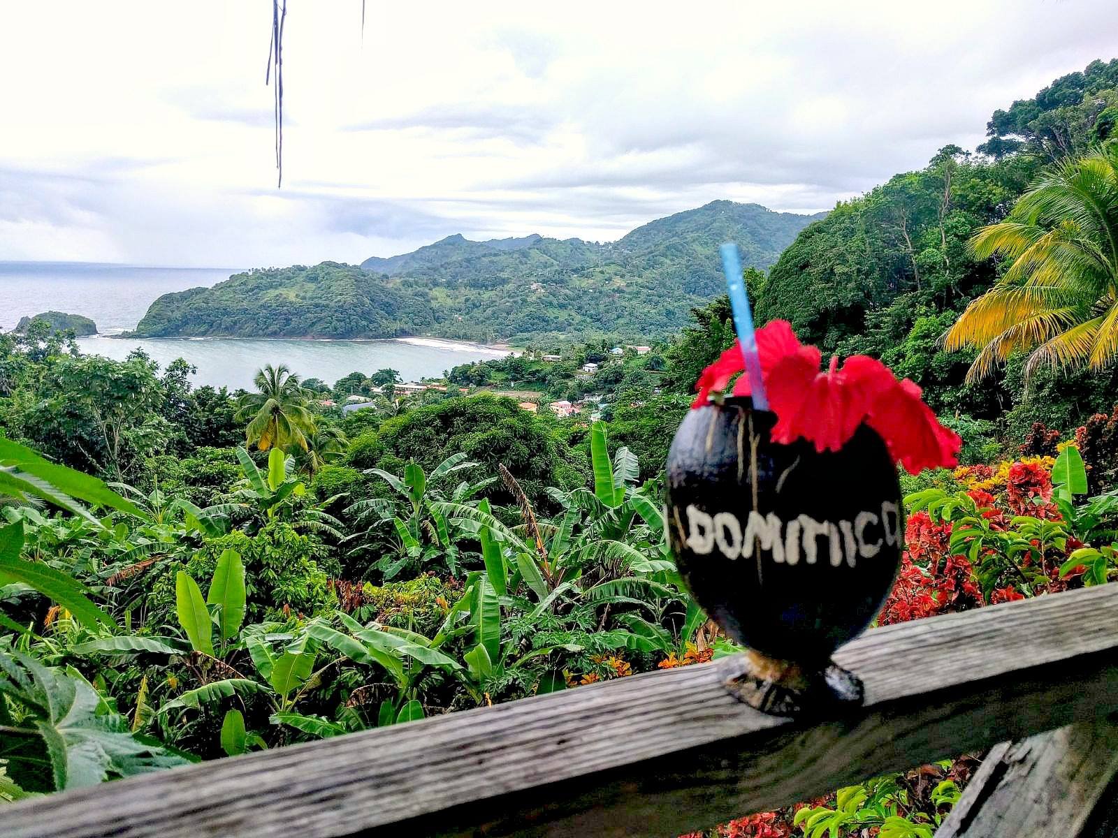 Dominicafeature