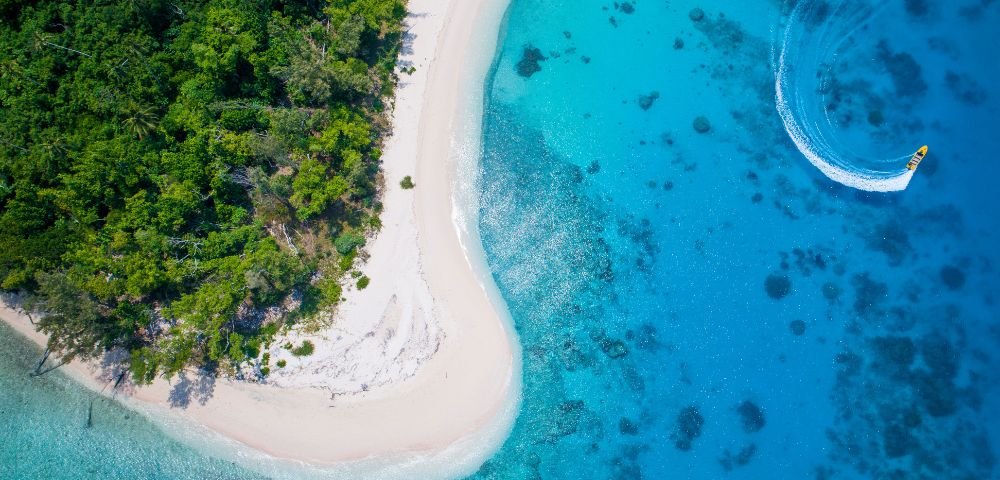 xr:d:DAF JgE Ak0:86,j:2382825582629311356,t:24031122