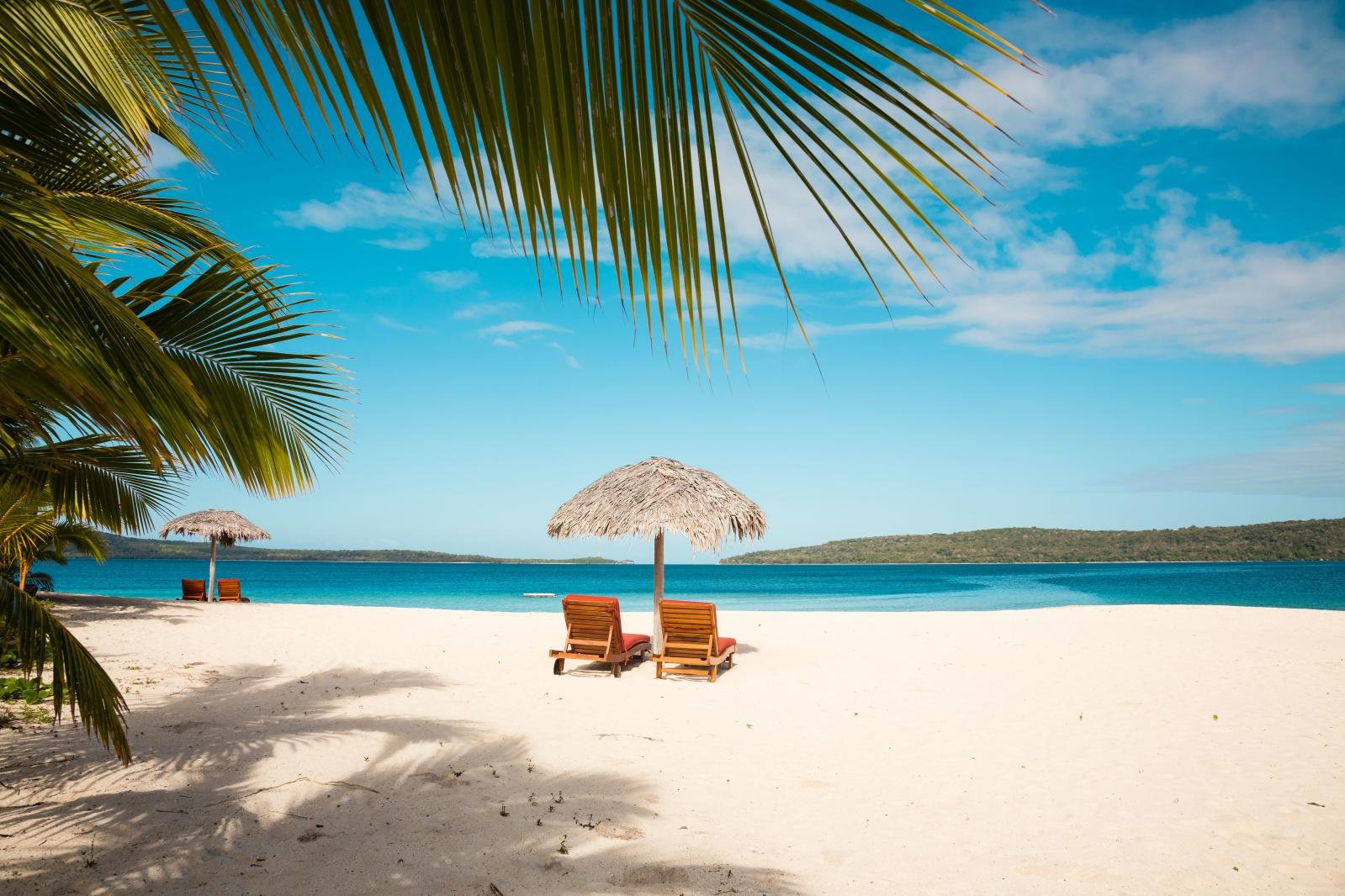 beach 55917 banner (1)