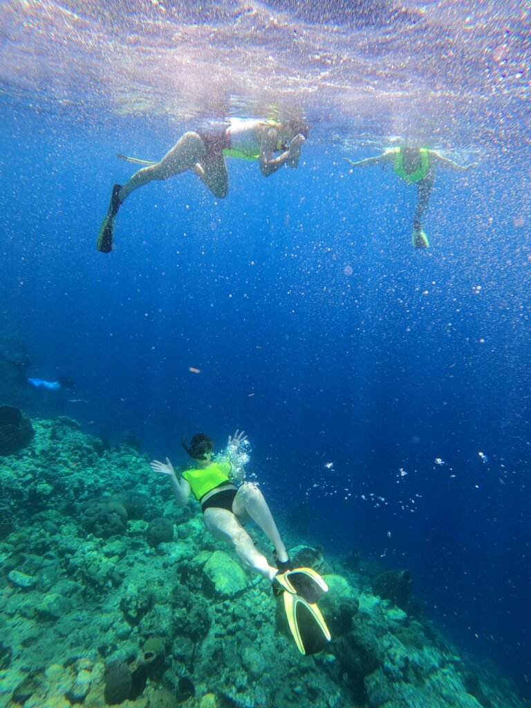 interesting facts about Dominica