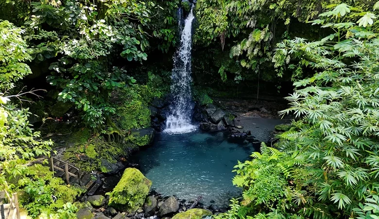 emerald pool 04 780x450