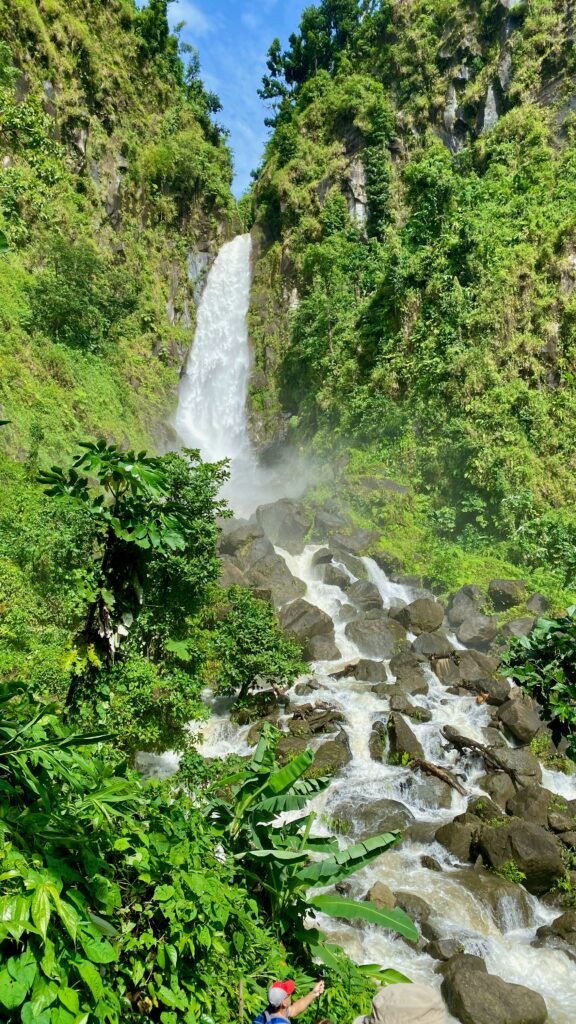 interesting facts about Dominica
