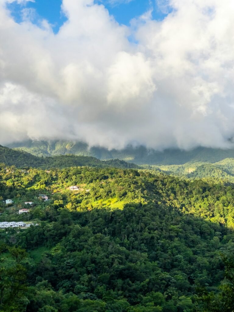 interesting facts about Dominica