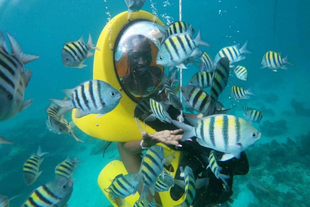 Diving in Dominica
