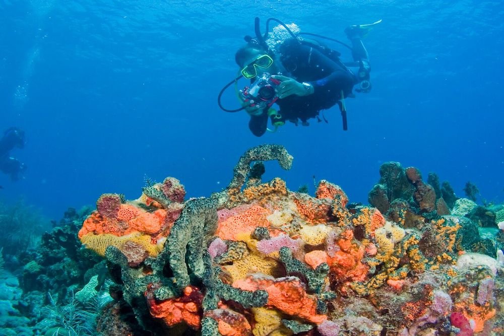 Diving in Dominica