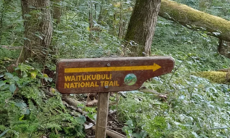 waitukubuli national trail 1 780x470 2