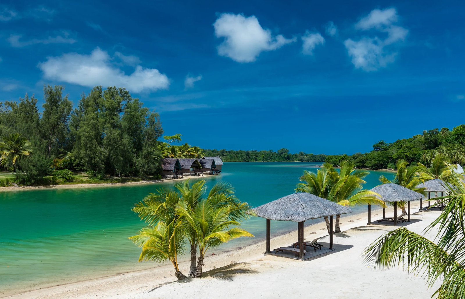 Forested coastline in Vanuatu