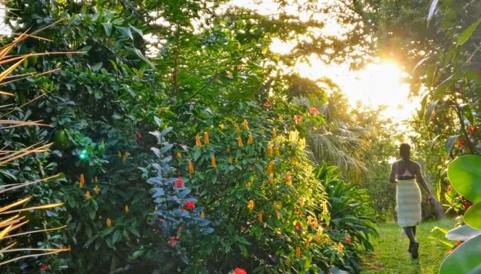 20200504133310 20200427141121 img 20190720 170731 1200px