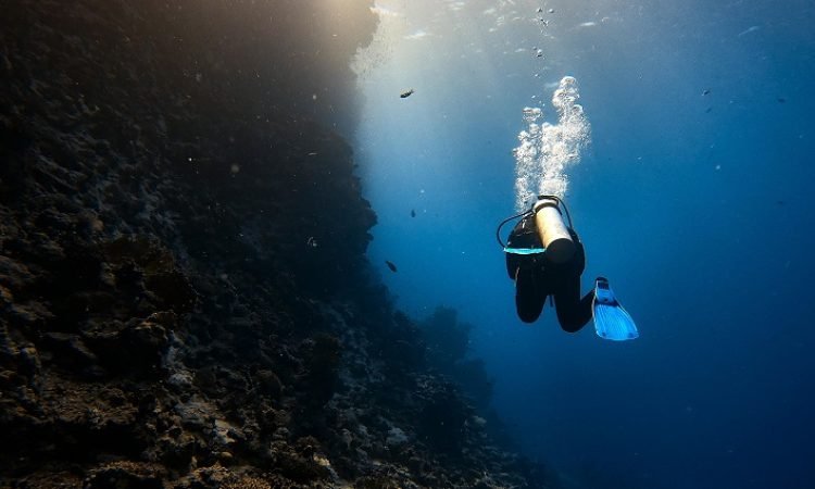 Diving in Dominica